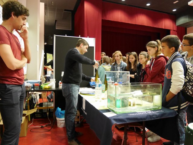Stands St Nazaire